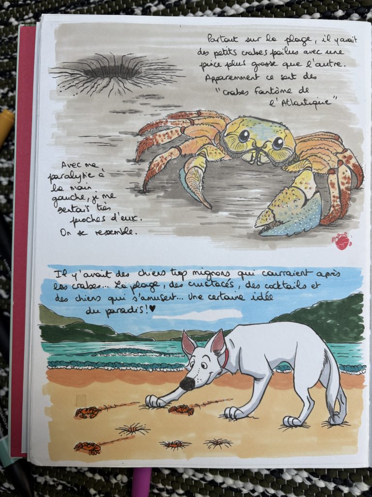 carnet-du-bresil-n°6